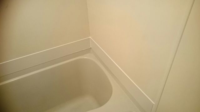 1550496716976.jpg