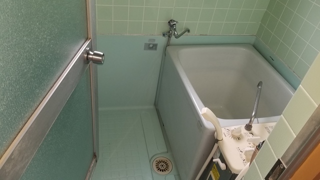 20181108_155650.jpg