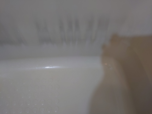 DSC_0048.jpg
