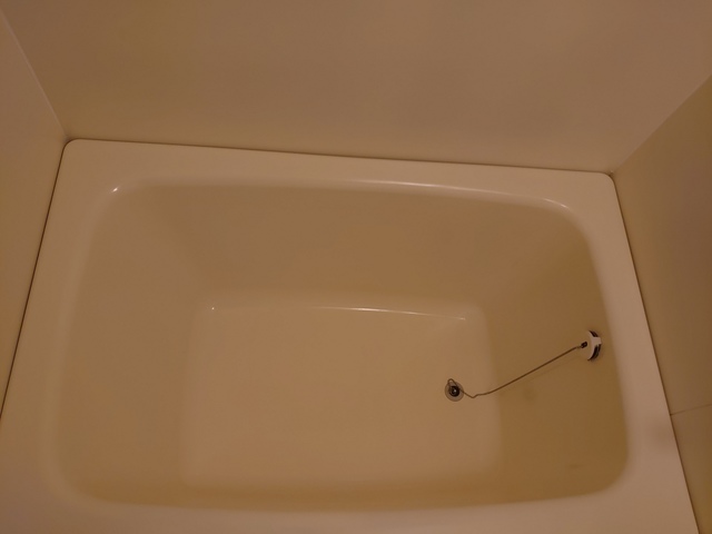 DSC_0205.jpg