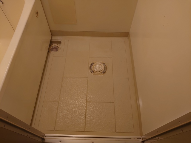 DSC_0206.jpg