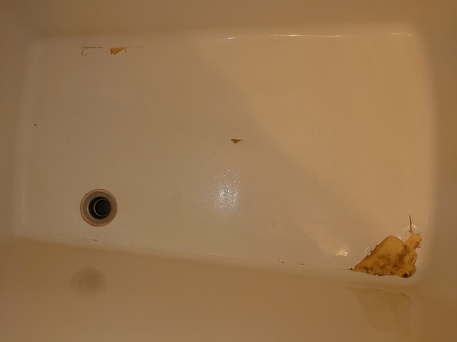 DSC_0331.jpg