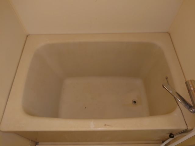 DSC_0347.jpg
