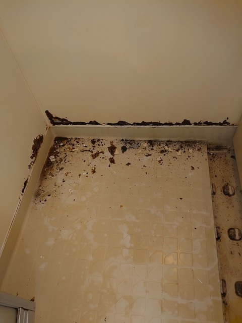 DSC_0351.jpg