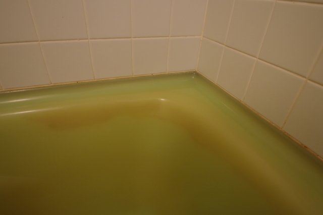 IMGP4516.jpg