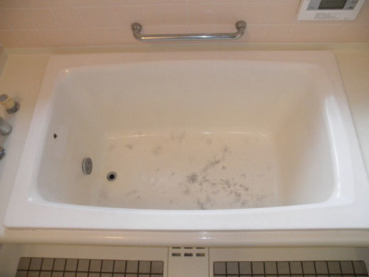 image1.jpg